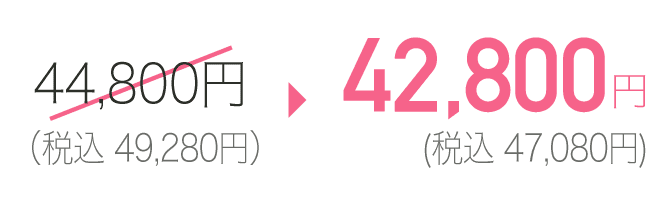 42,800円（税込47,080円）